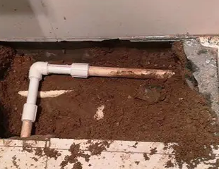 温州测漏水哪家好